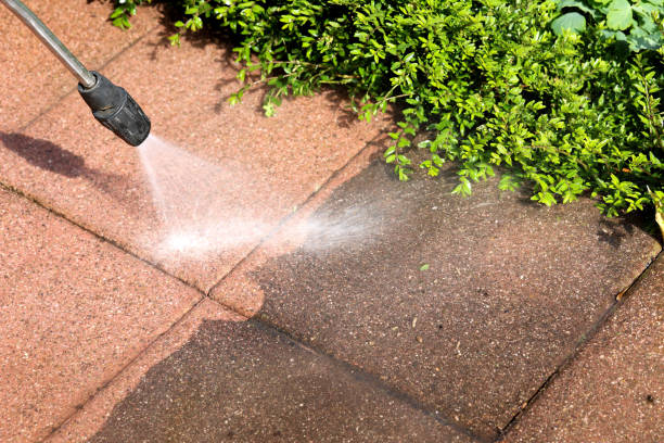 Best Pressure Washing Company Near Me  in Massillon, OH